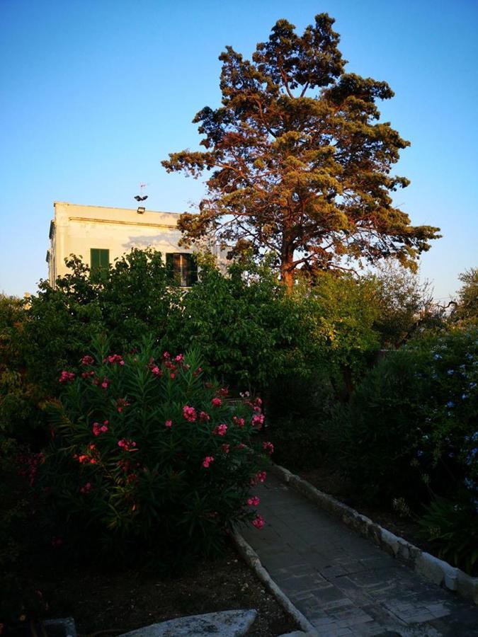 B&B Villa Maria Джовинаццо Экстерьер фото